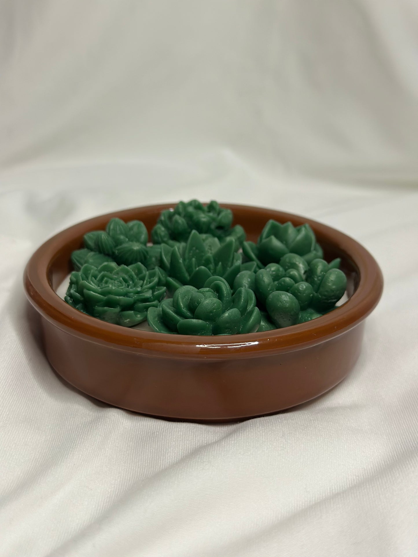 Succulent Glow Candle