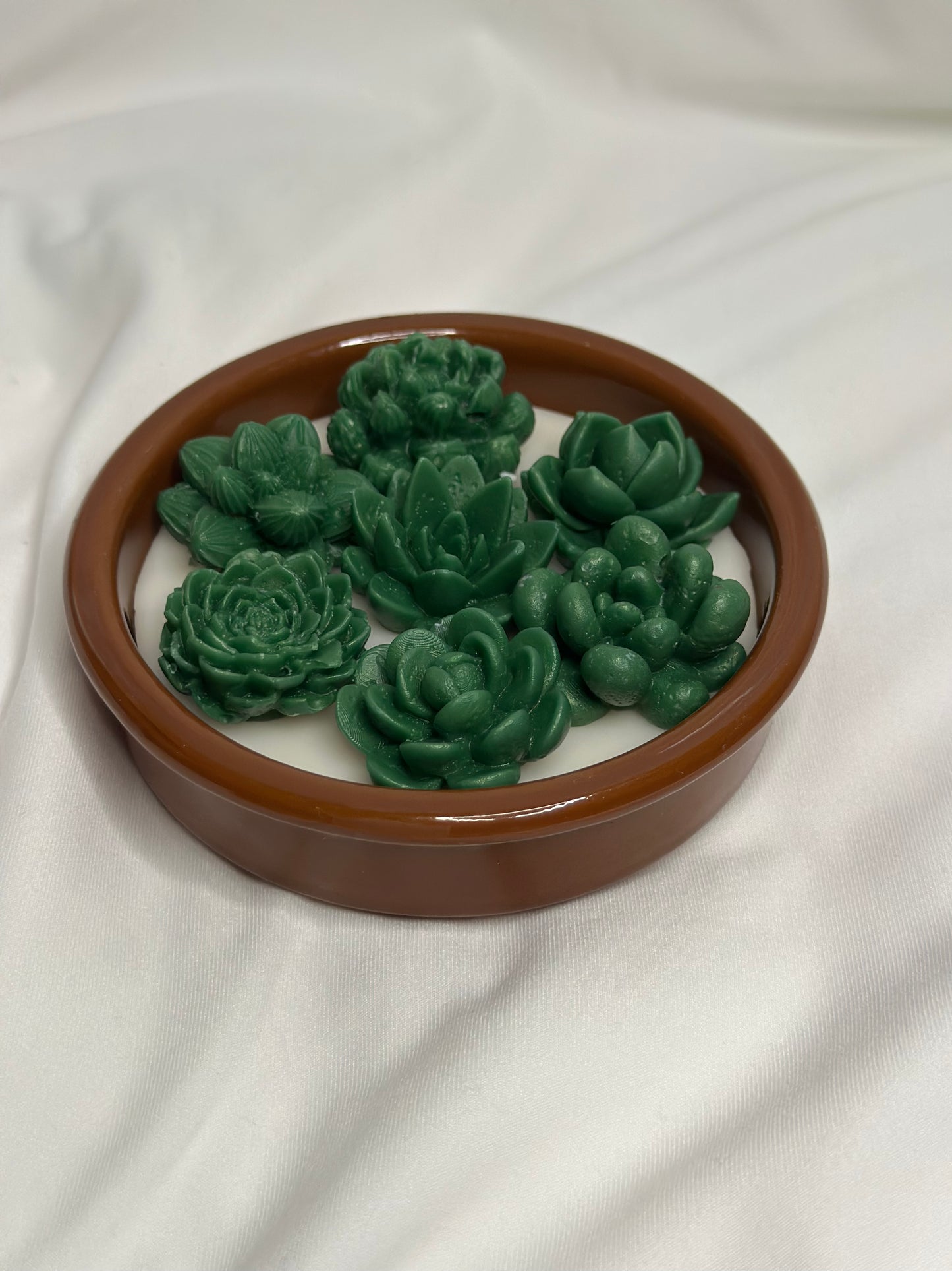 Succulent Glow Candle