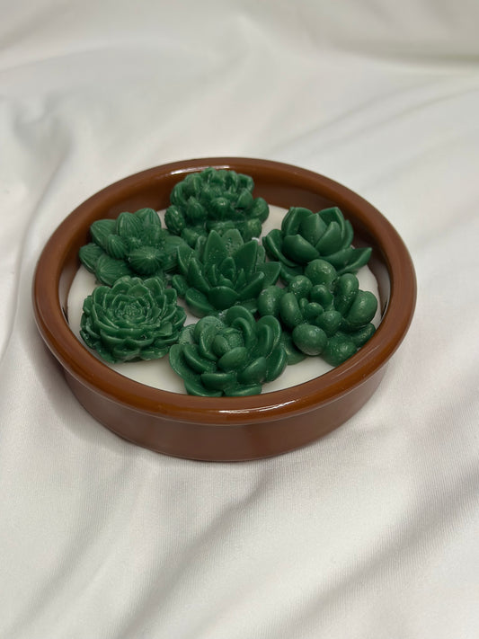 Succulent Glow Candle