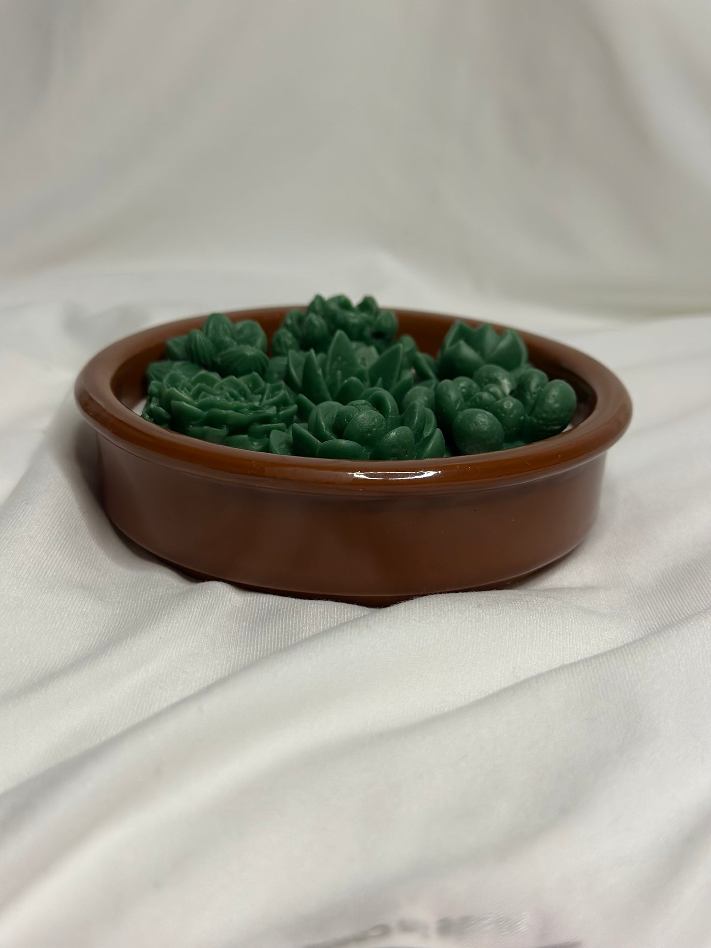 Succulent Glow Candle